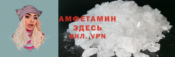 прущие грибы Наволоки