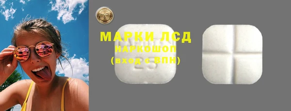 прущие грибы Наволоки