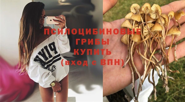 прущая мука Новозыбков