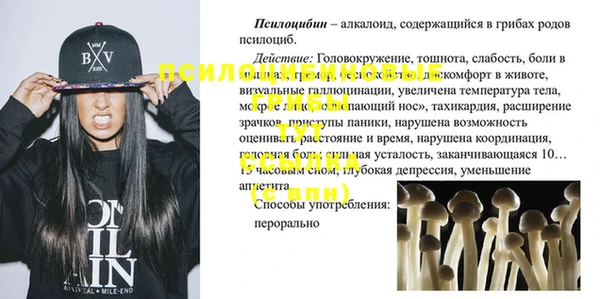 соль ск Надым