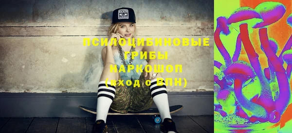 соль ск Надым