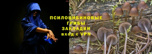 молекула духа Абдулино