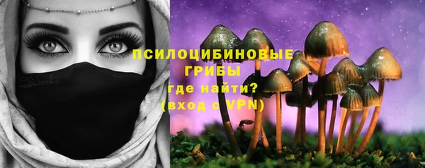 прущие грибы Наволоки