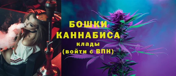 прущие грибы Наволоки