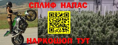 Альфа ПВП Нарткала