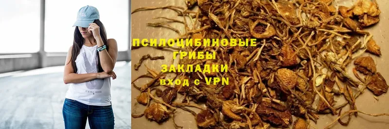 продажа наркотиков  маркетплейс телеграм  Галлюциногенные грибы прущие грибы  Арзамас 