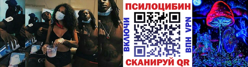наркота Арзамас Псилоцибиновые грибы прущие грибы